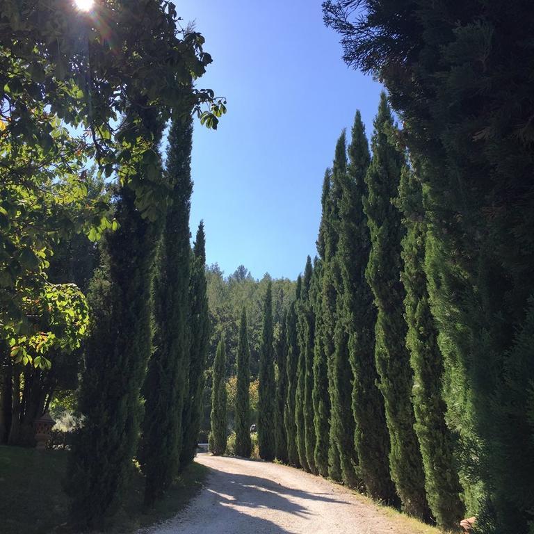 Agriturismo Monastero Di San Biagio نوسيرا أومبرا المظهر الخارجي الصورة
