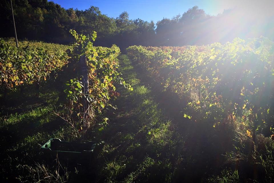 Agriturismo Monastero Di San Biagio نوسيرا أومبرا المظهر الخارجي الصورة